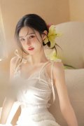 政策也将惠的逾百万华人华侨